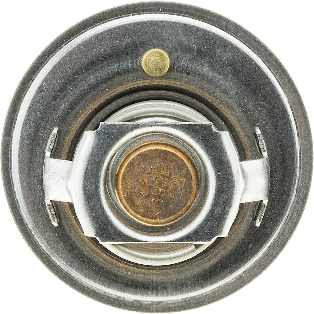 33489 Thermostat