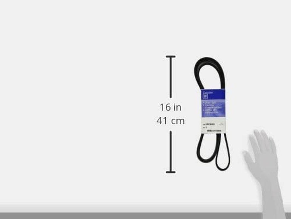 Gold 12576453 Standard V-Ribbed Serpentine Belt