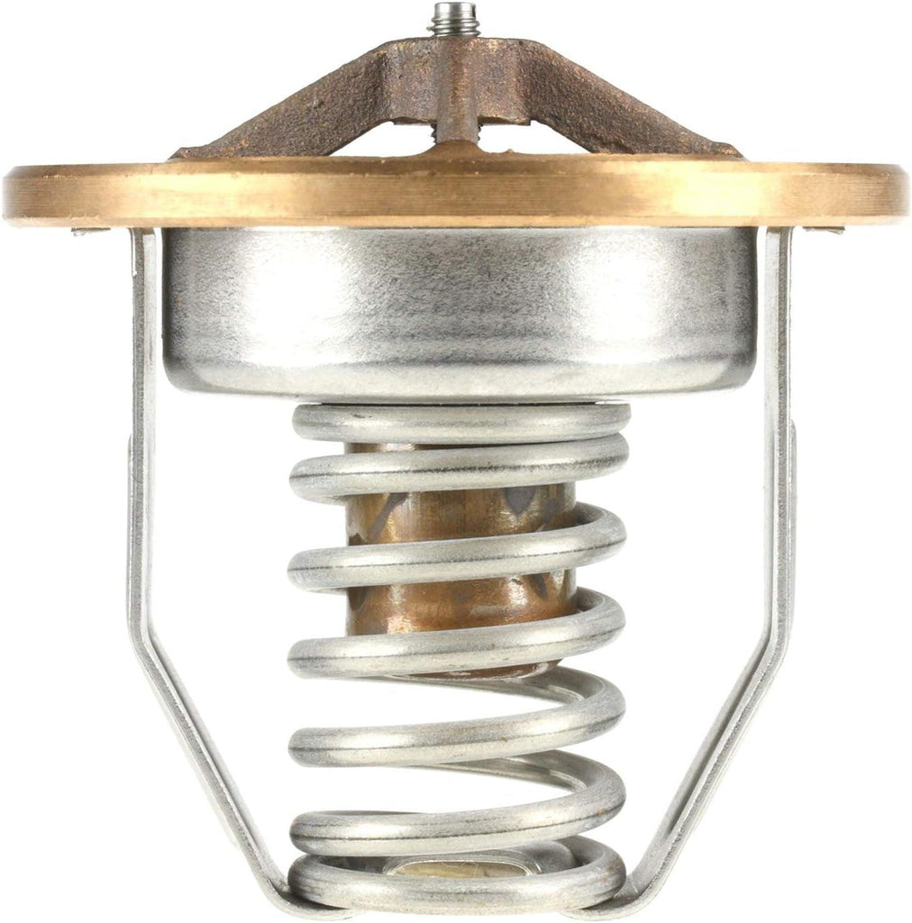 -14218 OE Type Thermostat, Stainless Steel