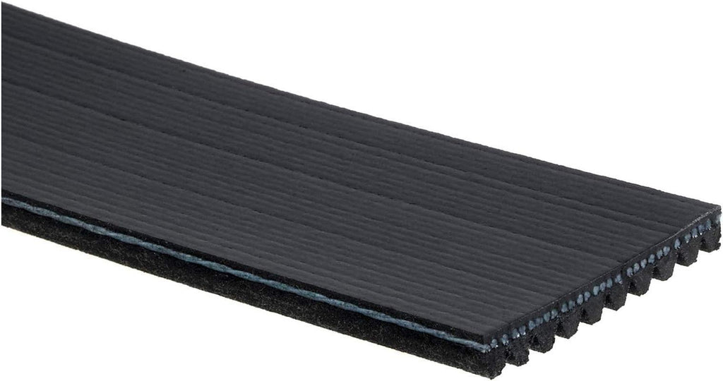Gold 10K510 Standard V-Ribbed Serpentine Belt