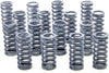 185-G Valve Spring Set for 32-53 Ford Flathead V8