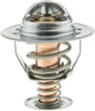 319-170 Thermostat