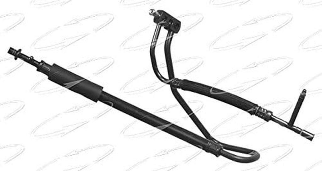55683 Hose Assembly