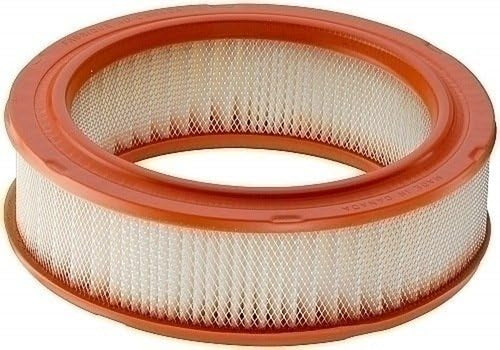 Extra Guard Air Filter CA6667, for Select Nissan Vehicles