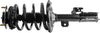 282307 Roadmatic Complete Strut Assembly