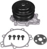 Professional 252-487 Water Pump Kit
