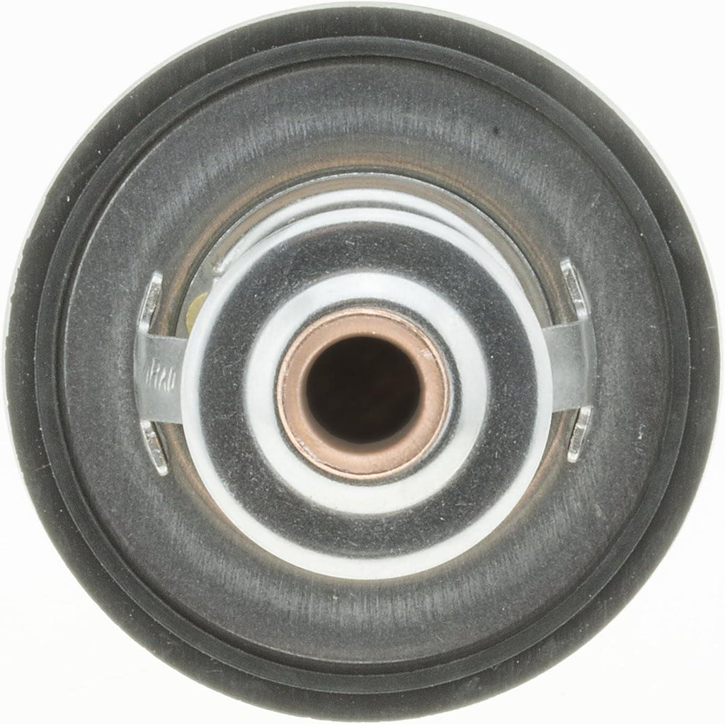 2065-160 160 °F High Performance Thermostat