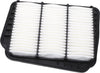 GM Original Equipment 42390442 Air Filter