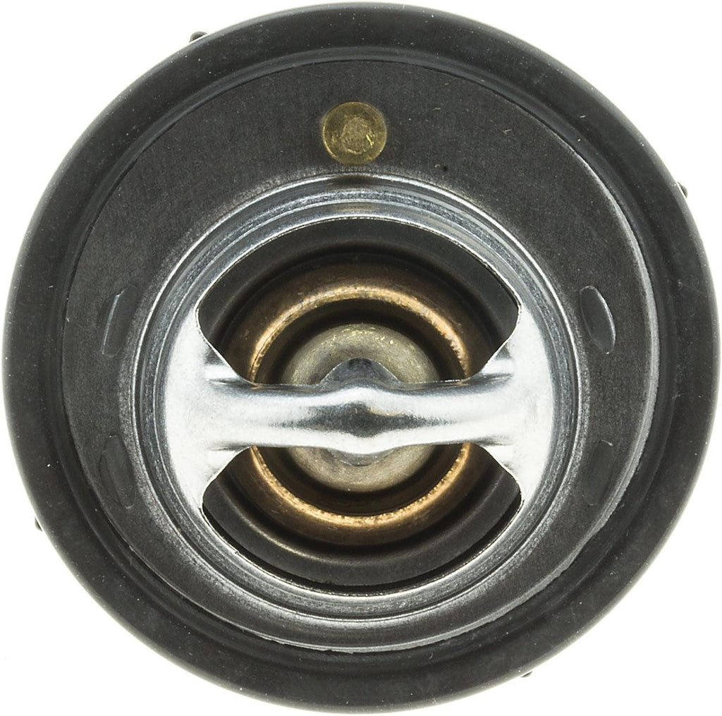 737-180 Thermostat with Seal