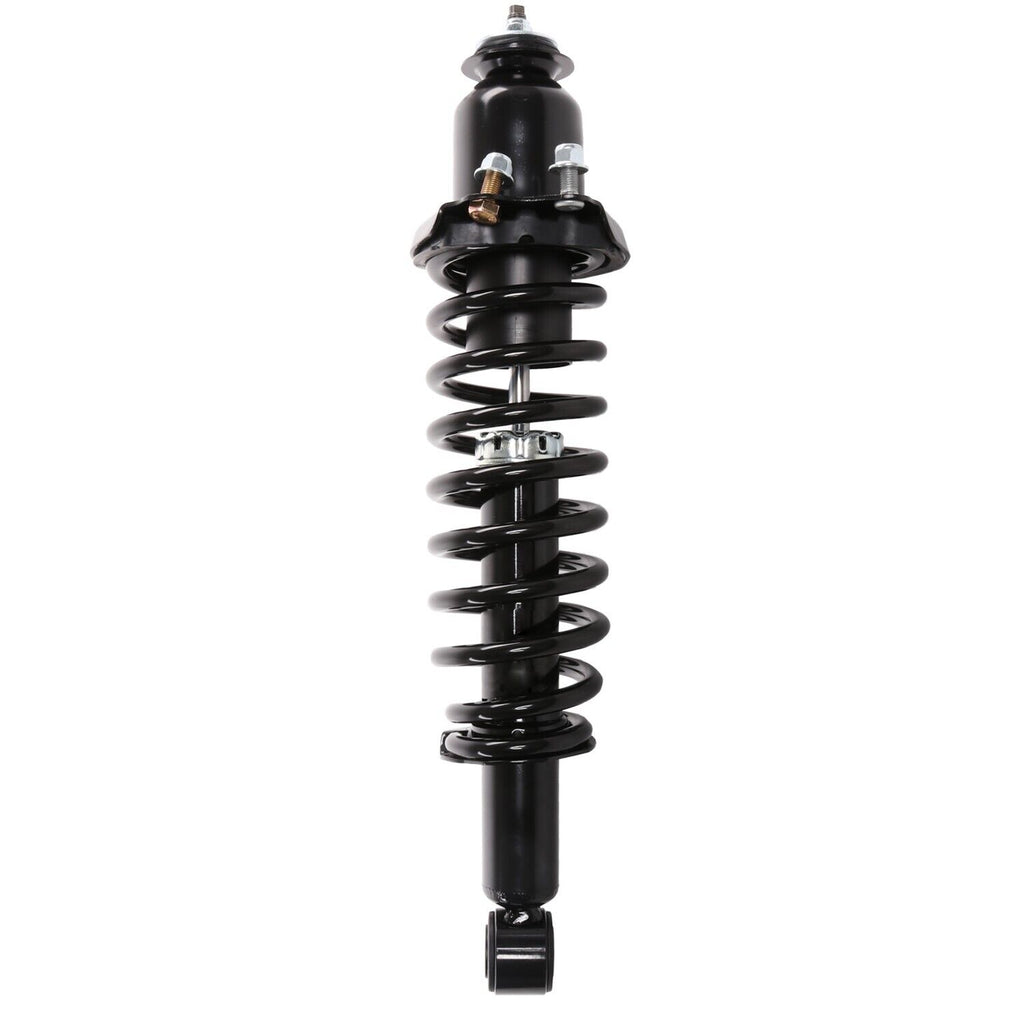 Suspension Strut and Coil Spring for Vibe, Corolla, Matrix 710984