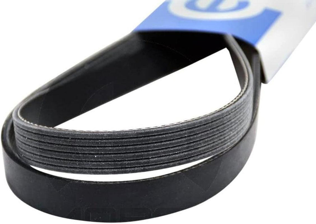 5301 1035, Serpentine Belt