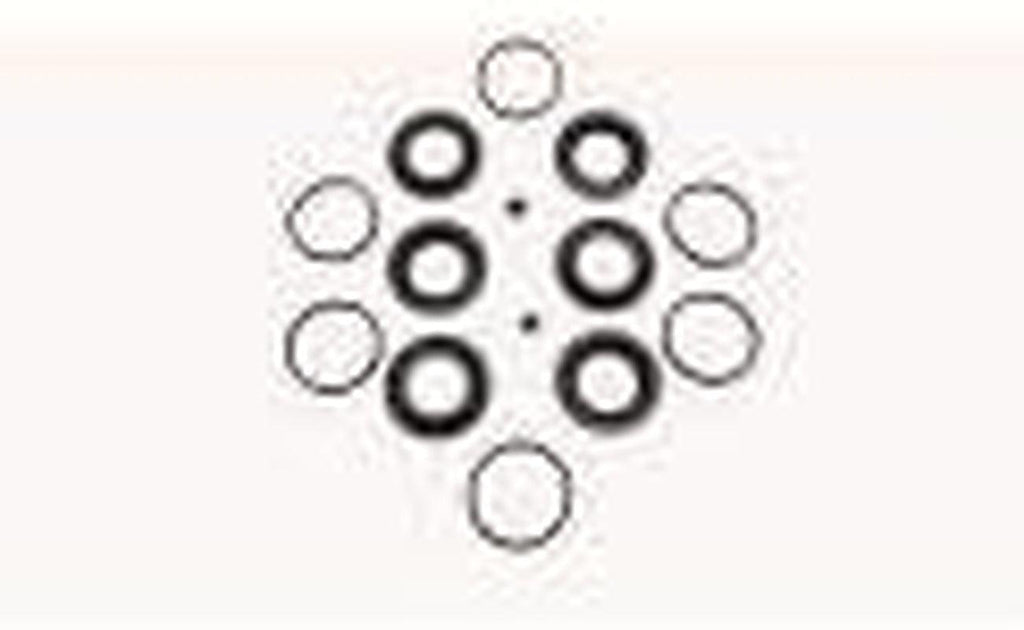 Carlson 41309 Caliper Repair Kit