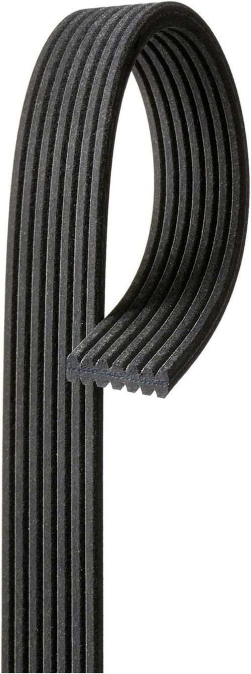 Gold 7DK551 Dual Sided V-Ribbed Serpentine Belt