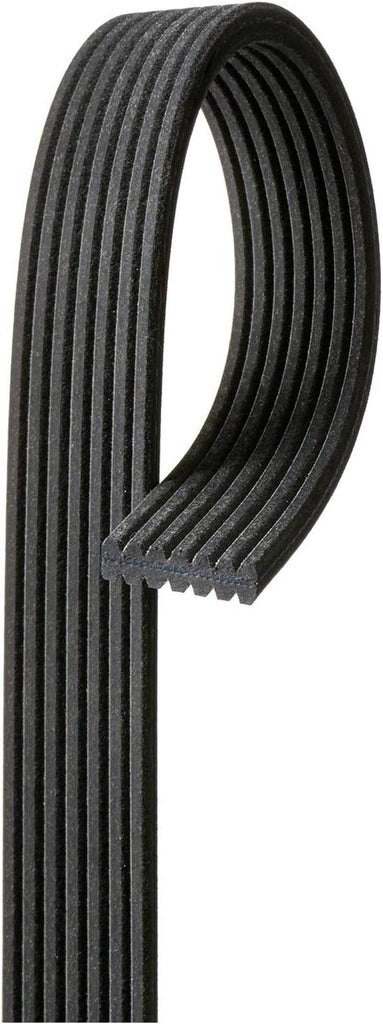 Gold 7DK817 Dual Sided V-Ribbed Serpentine Belt