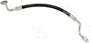 56787 Discharge Line Hose Assembly