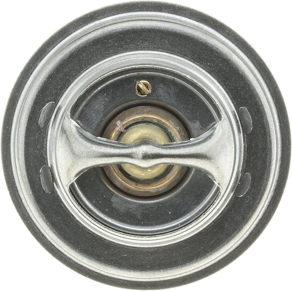274-174 Thermostat