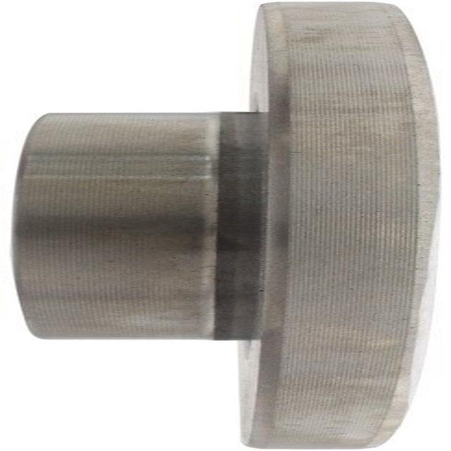 Centric Rear Disc Brake Rotor for Cherokee, 200 (121.58013)