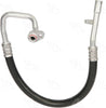 56813 Hose Assembly