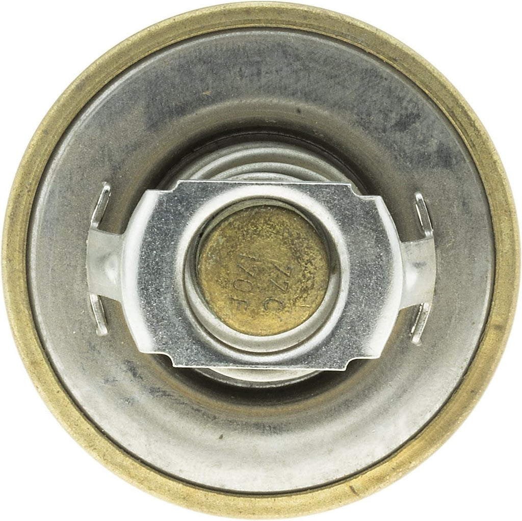 238-170 Thermostat
