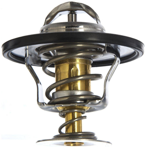Engine Coolant Thermostat for Express 1500, Express Cargo+More 34769