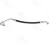 56197 Hose Assembly