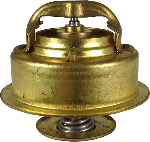 13919 Regular Thermostat