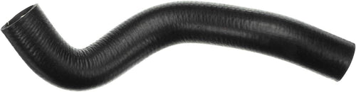 Gold 22538M Molded Lower Radiator Hose