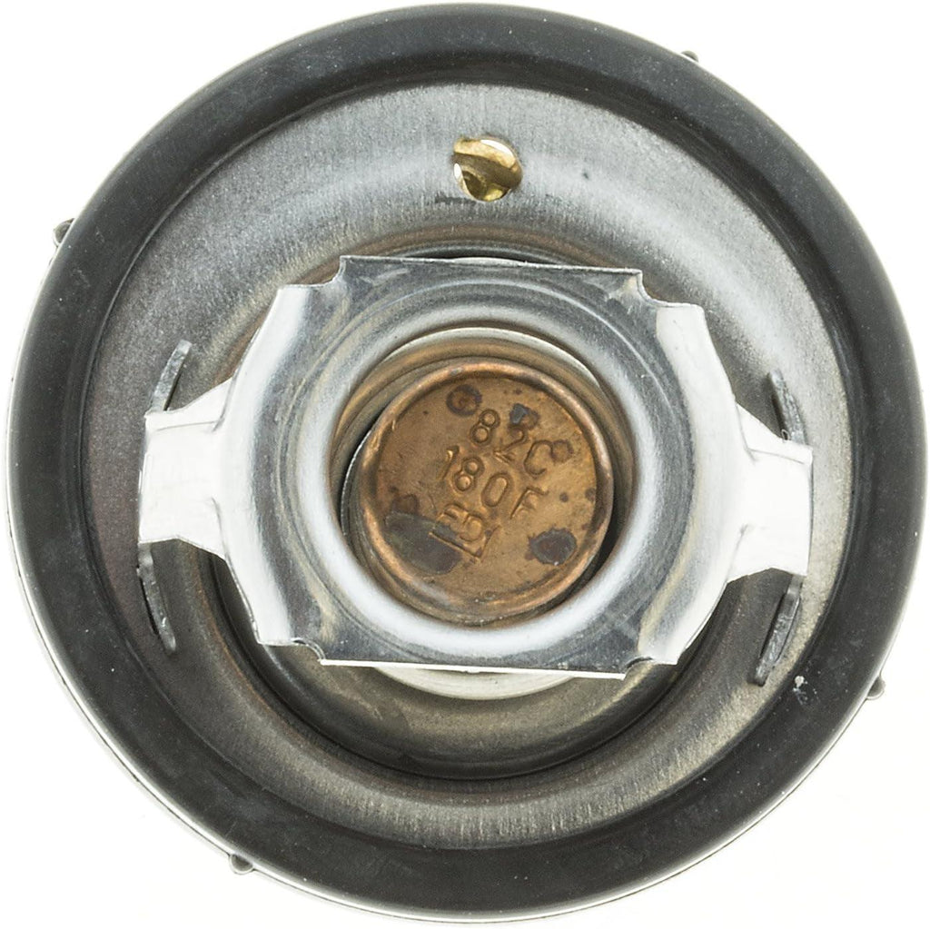 737-180 Thermostat with Seal