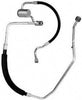 56162 Hose Assembly