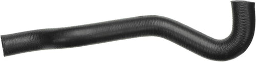 Gold 24291L Molded Lower Radiator Hose