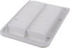 Extra Guard CA10190 Replacement Engine Air Filter for Select Toyota, Scion and Pontiac Models, Provides up to 12 Months or 12,000 Miles Filter Protection