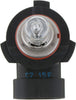 Fog Light Bulb for Voyager, Edge, Escape, F-150, Accord, Hr-V+More 9005VPB1