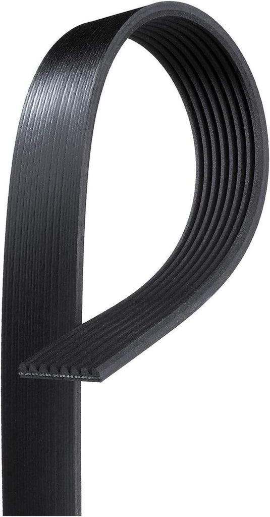 Gold 8K558 Standard V-Ribbed Serpentine Belt