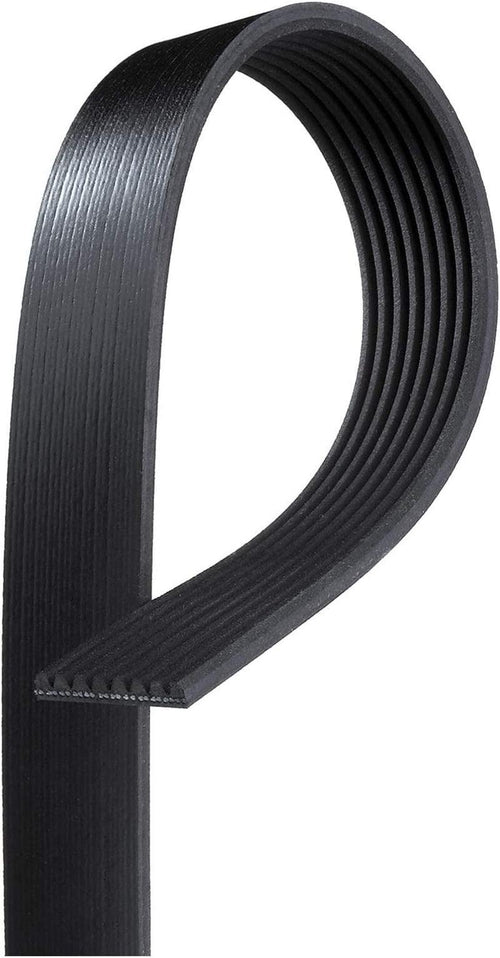Gold 8K1020 Standard V-Ribbed Serpentine Belt