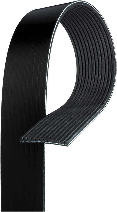 Gold 12K858 Standard V-Ribbed Serpentine Belt