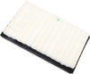 GM Original Equipment A2930C Air Filter