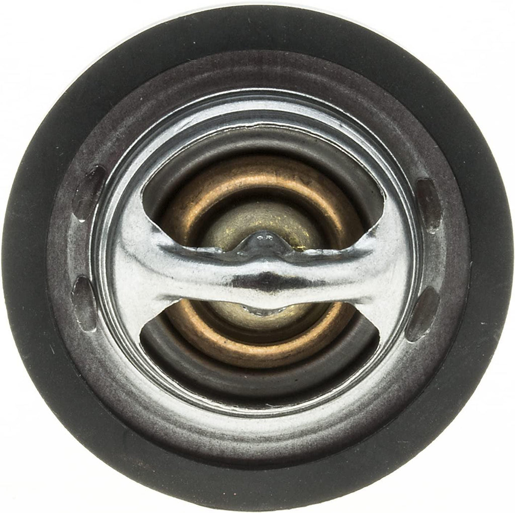 OE Type Thermostat (13899), Stainless Steel