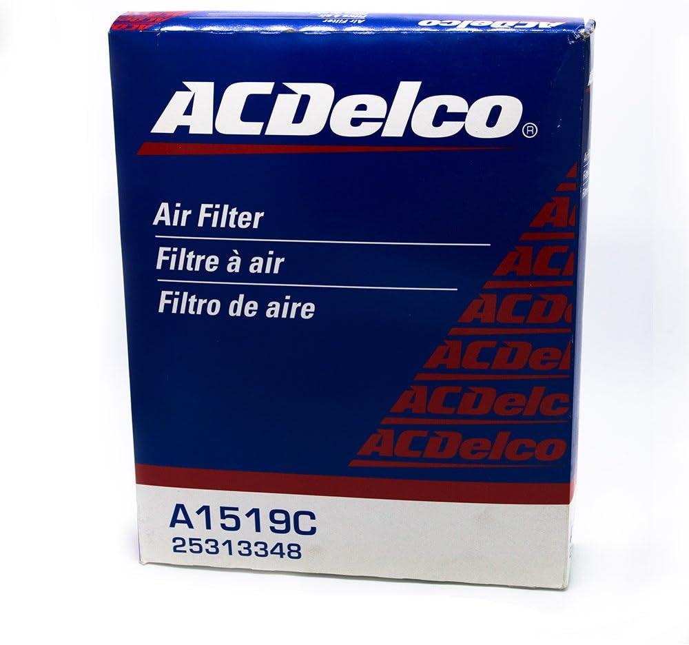 25313348 Air Filter
