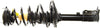 181585 Roadmatic Complete Strut Assembly