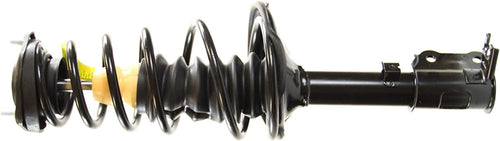 181585 Roadmatic Complete Strut Assembly