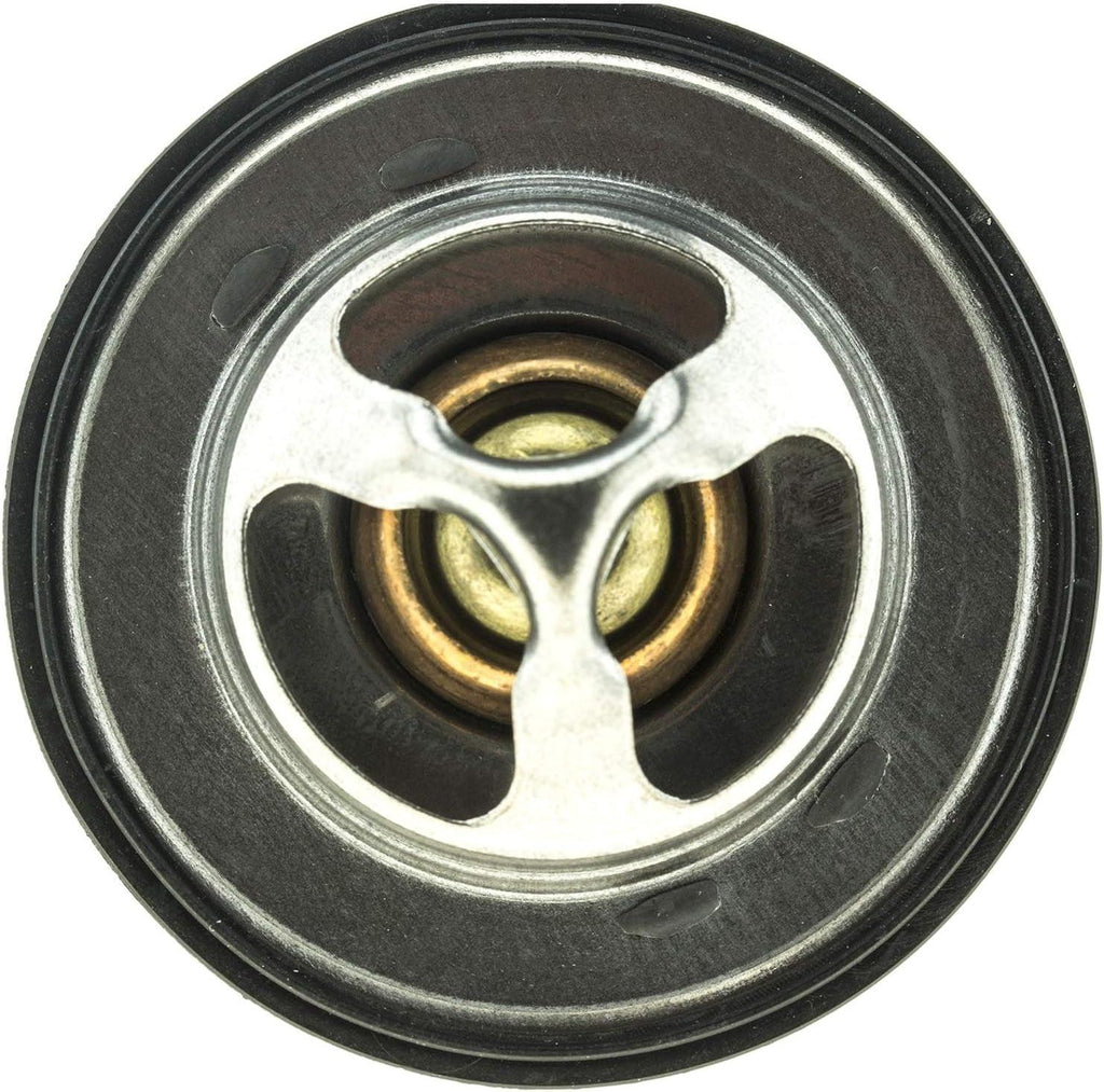 -14728 OE Type Thermostat, Stainless Steel