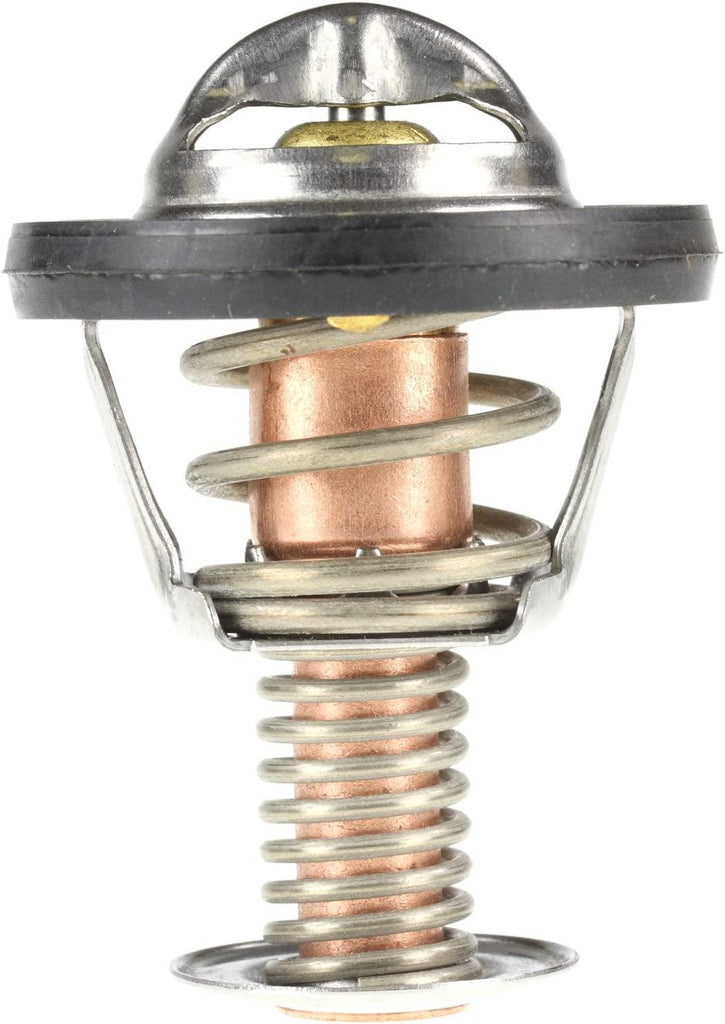 511-195 Thermostat