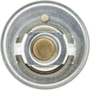 241-170 Thermostat