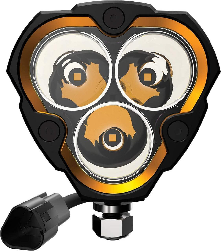 1282 the Small and Mighty KC FLEX ERA 3, Single