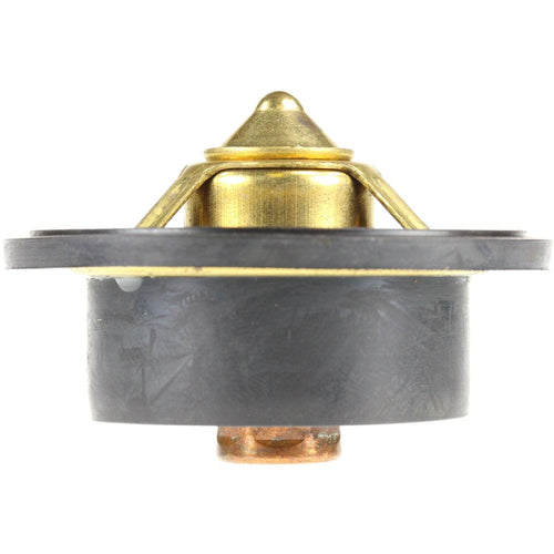 423-195 Engine Coolant Thermostat