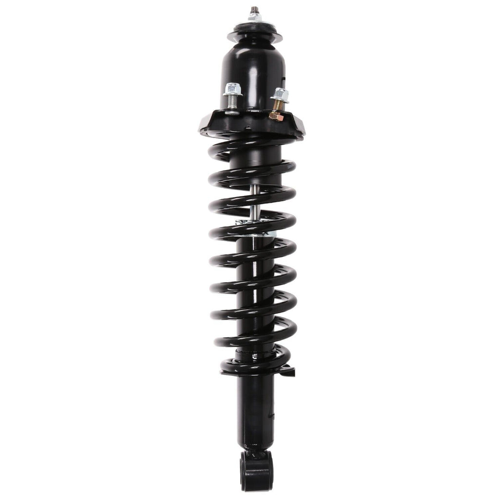 Suspension Strut and Coil Spring for Vibe, Corolla, Matrix 710983