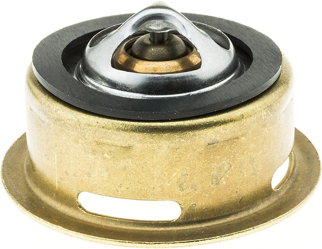 245-160 Thermostat with Seal