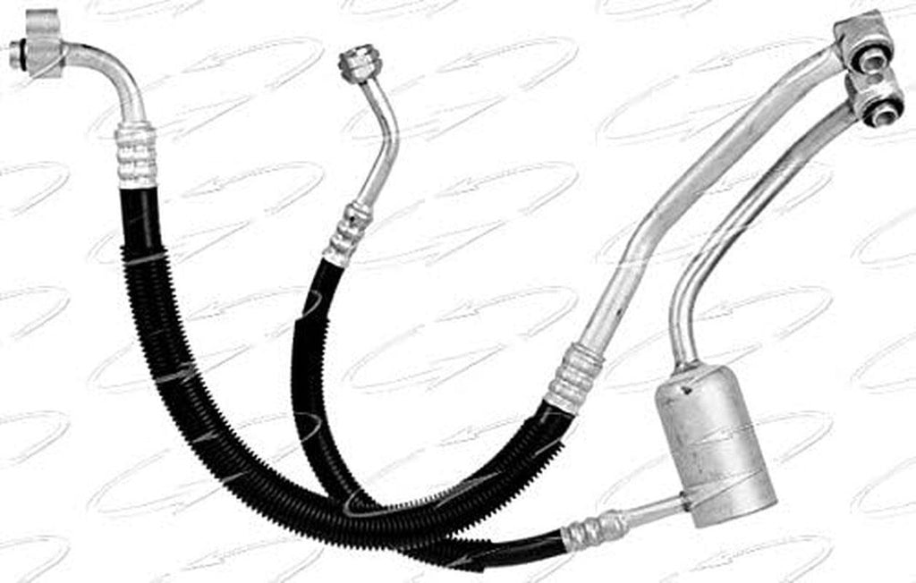 56367 Hose Assembly