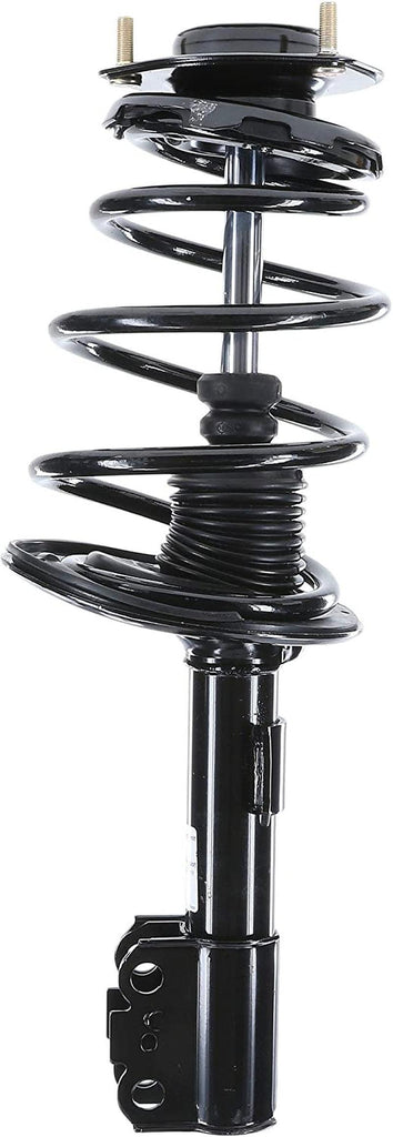 182941 Suspension Strut and Coil Spring Assembly