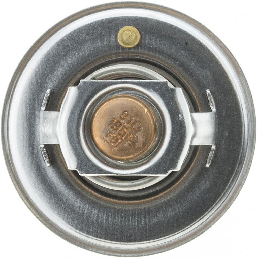 200-195JV Thermostat